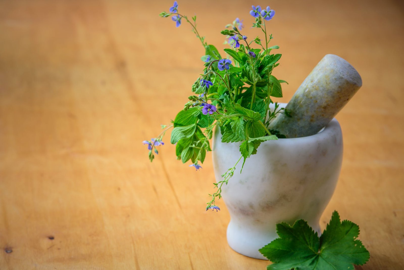 mortar and pestle set for making sauces